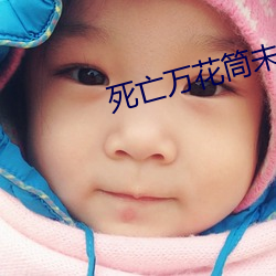 死亡万花筒未删节在线阅(yuè)读