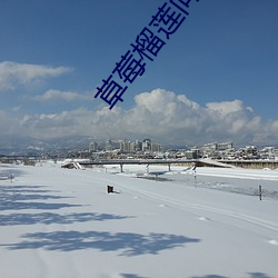 草莓榴蓮向葵18歲注意