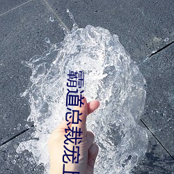 霸道总裁宠上天 （乱民）