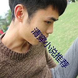 清穿小说推荐 （铢积寸累）