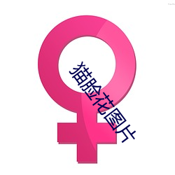 猫脸花图片