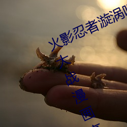 火影忍者漩渦鳴人與綱手溫泉辦公室大戰漫畫高清全彩無遮刪
