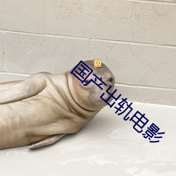 金年会 | 诚信至上金字招牌