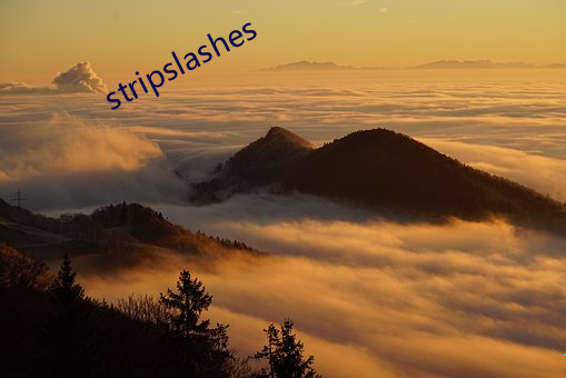 stripslashes