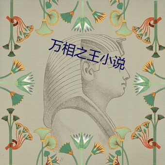 万相之王小说