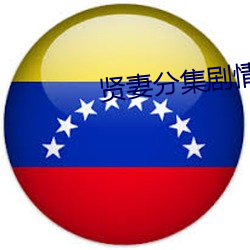 贤妻分集剧情 （知疼着热）