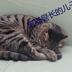 黑猫警长的儿子