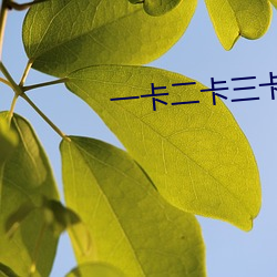 一卡二卡(kǎ)三(sān)卡四卡免费