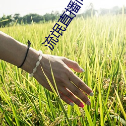 流氓直播間下載安裝