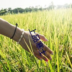 pg电子游戏试玩(中国游)官方网站