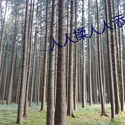 人人揉(揉)人人添人人捏(捏)人人(人)看(看)