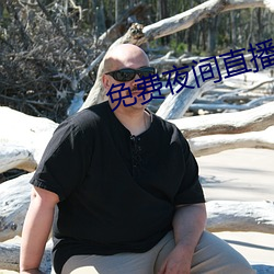 免费(費)夜间直播软(軟)件