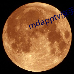 mdapptv麻手(手)机入(入)口(口)