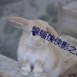 蝙蝠俠俠影之謎在線觀看完