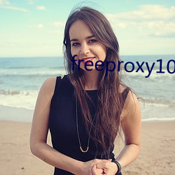 freeproxy100%