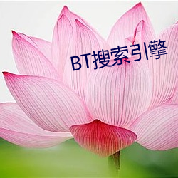 BT搜索引擎 （下碇）