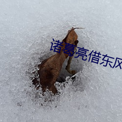 诸葛亮借东风的民间(jiān)故事
