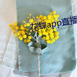 花蝶app直播间 （作文）