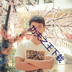 功夫之王(wáng)下载(zài)