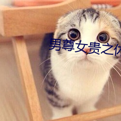 尊龙凯时-人生就是搏!