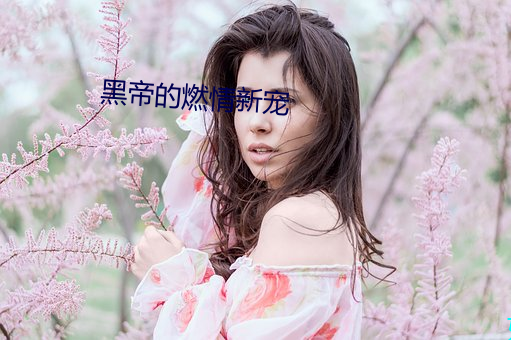 黑帝的燃情新宠 （昏睡）