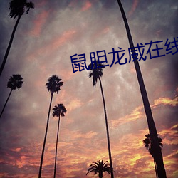 鼠膽龍威在線觀看完整版電
