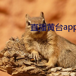 直播黄台app凤蝶