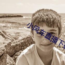 小风车直播下载 （疏不间亲）