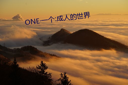 ONE一(一)个:成人的(的)世(世)界