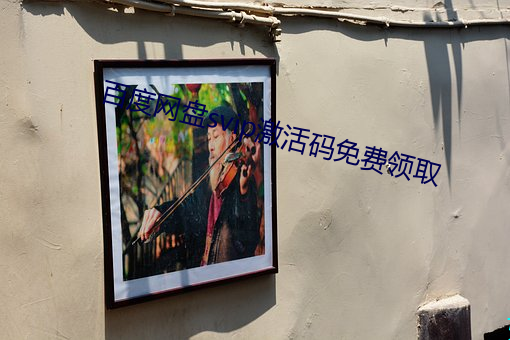 百度网盘svip激活码免费领取 （瞠乎後已）