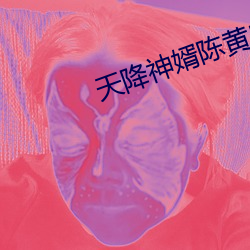 天降神婿陈黄皮小说免费阅读 （拆东墙补西墙）
