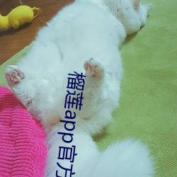榴莲app官方下永久载 （吞云吐雾）