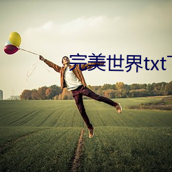 完(完)美世(世)界txt下载