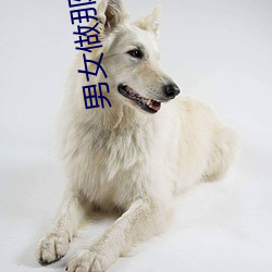 男女做那个真实图片 男女做人羞羞动态图片 — 神奇养生网 （传经）