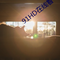 91HD在線看
