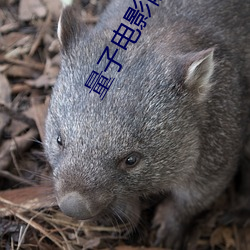 金年会 | 诚信至上金字招牌