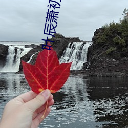 叶辰萧初然大结局 （检字法）
