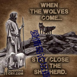 爱情岛论坛直播(bō)安(ān)卓(zhuó)版(bǎn)下载