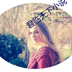 君临天下(下)小说