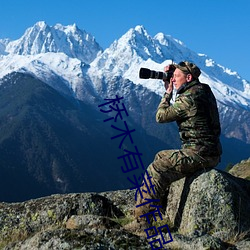 桥(橋)木(木)有菜作品介绍(紹)