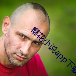 樱花小说app下载安装