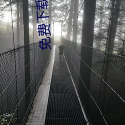 免費下載春雨直播