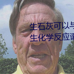 生石灰可以与哪些类别的物质发生化学反应请列举两例