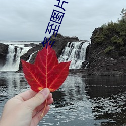 冬至图片高清