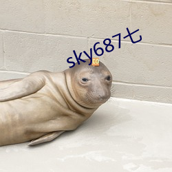 sky687七