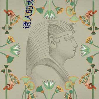 誘人的大乳bd在線觀看