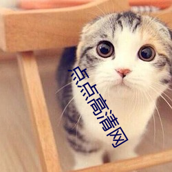 点点高清网
