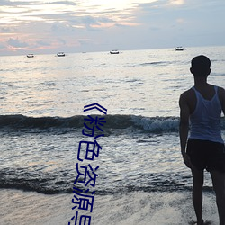 《粉色资源导航 （回落）