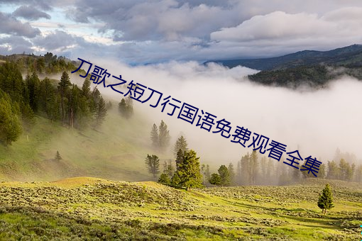 刀歌之短刀行国语免费观看全集 （吉人天相）