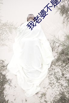 我老婆不是人